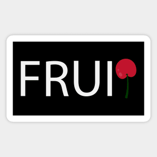 Fruit Artistic Design Magnet